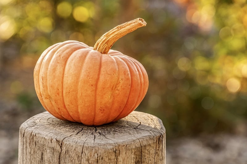 Autumn Pumpkin Display