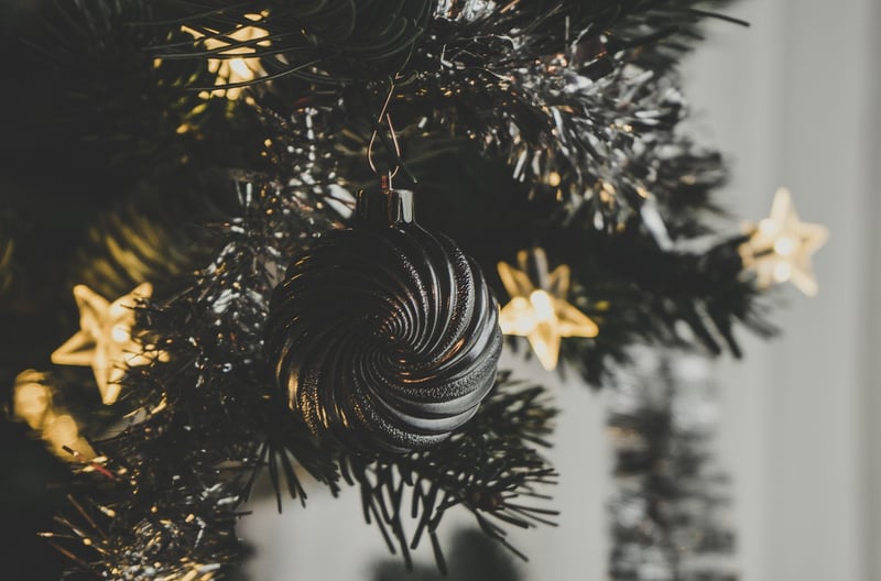 Christmas Tree Display