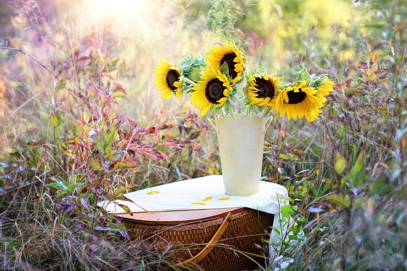 Repurposed tire planter