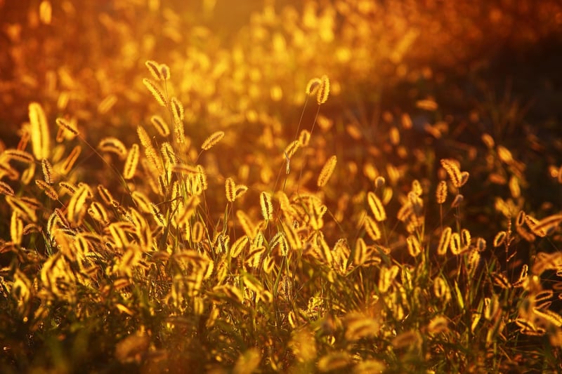 Personal Growth Transformation